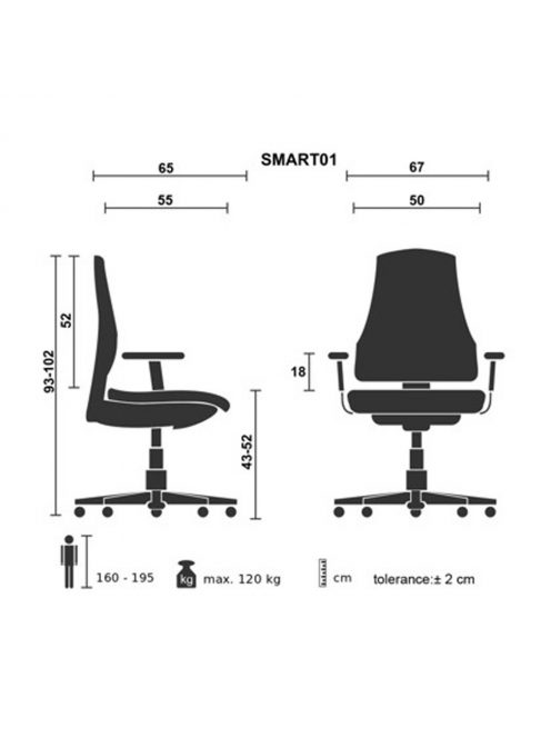 Forgószék Bluering® Smart szürke